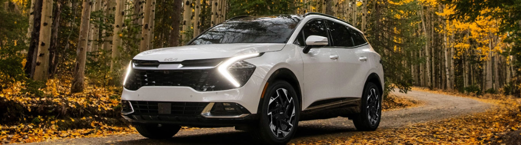 2025 Kia Sportage driving down a forest road